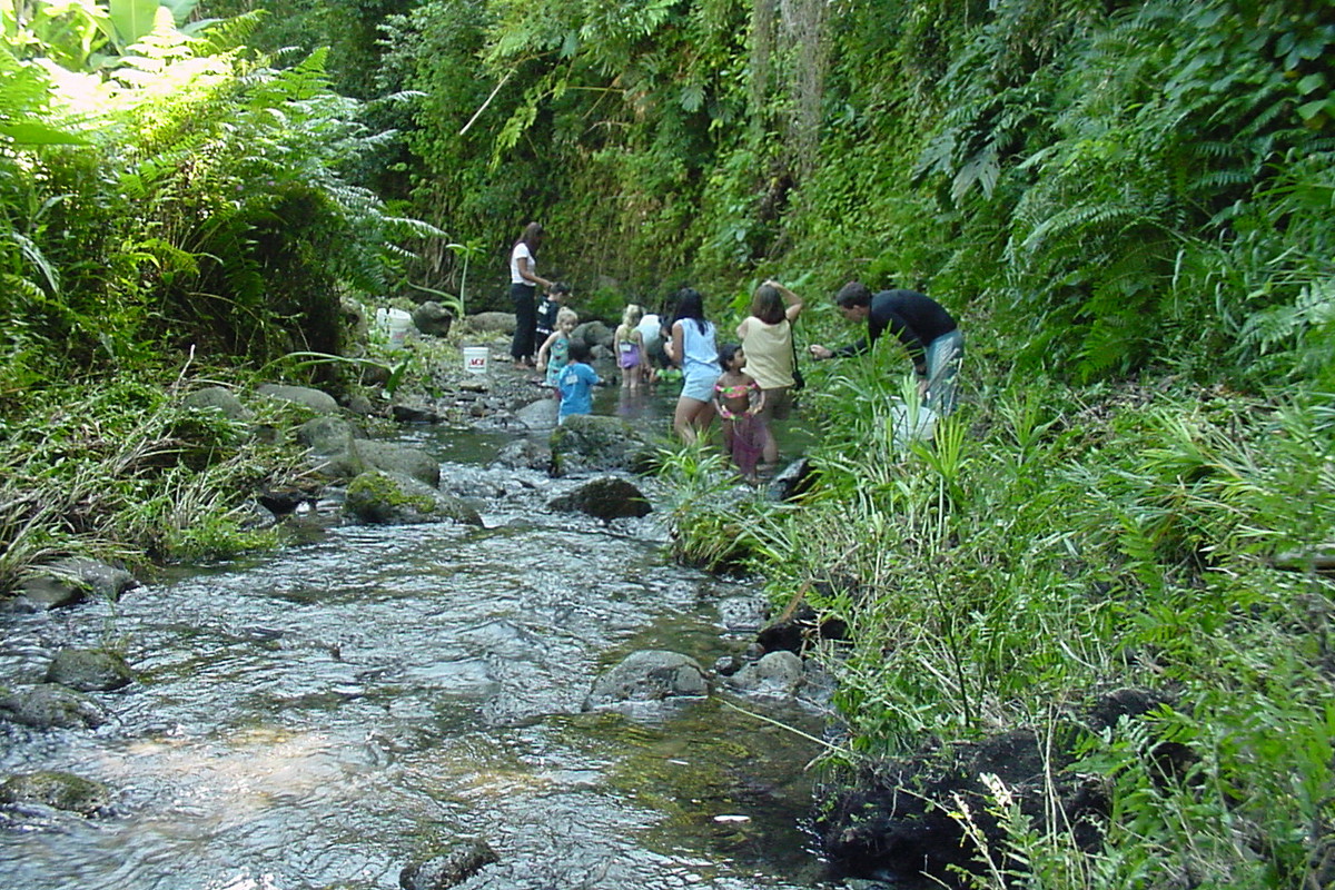students in stream