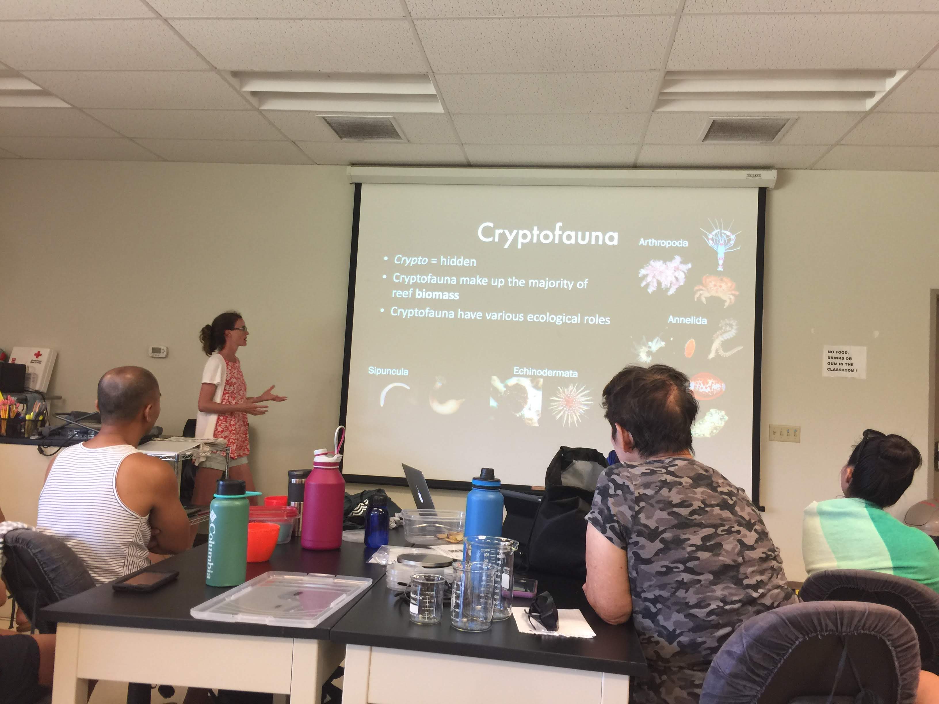 presentation with crypofauna on slide