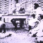 Figure 1. Fijian chiefs signing the deed of cession on 10 Oct 1874 with David Wilkinson as interpreter. It was a large meeting of chiefs in 1875 that caused mass mortality within the leadership as well as the rapid spread of measles to all parts of Fiji.