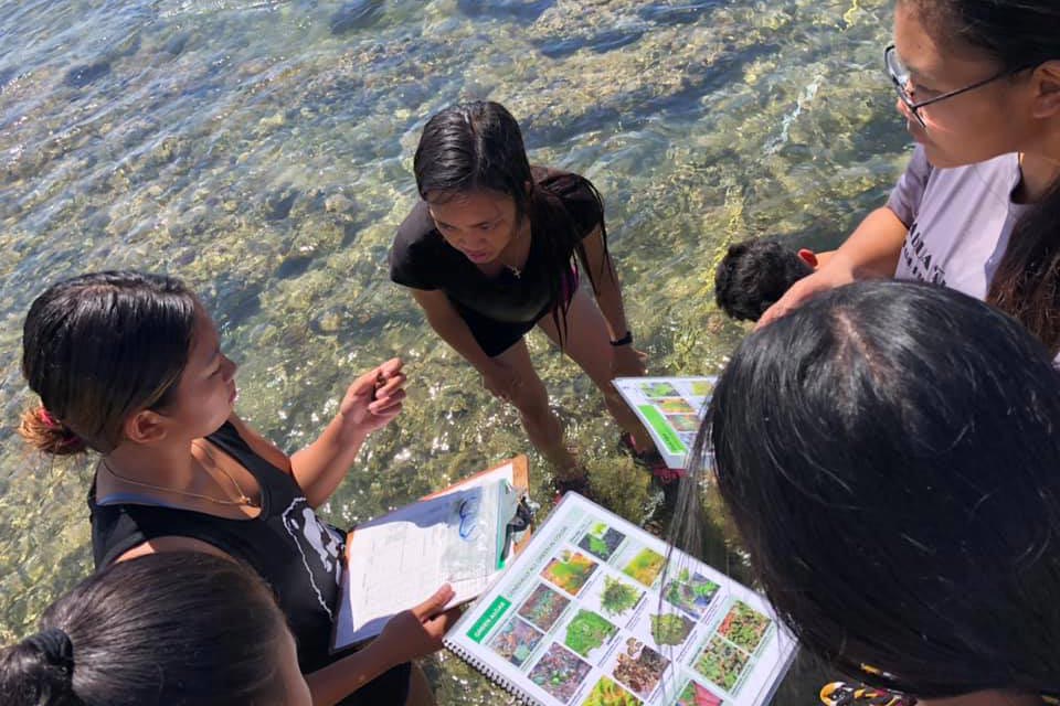 Students identifying algae