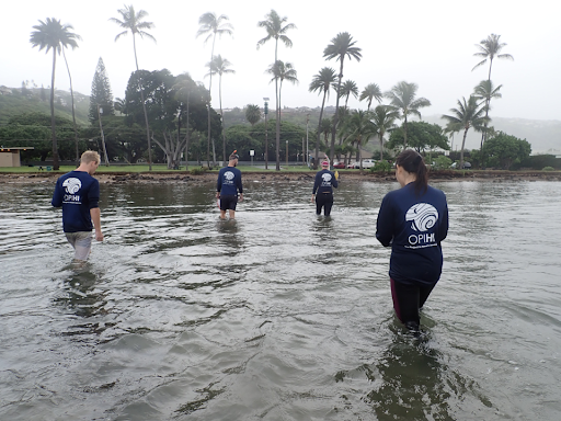 Opihi researchers at the fishpond