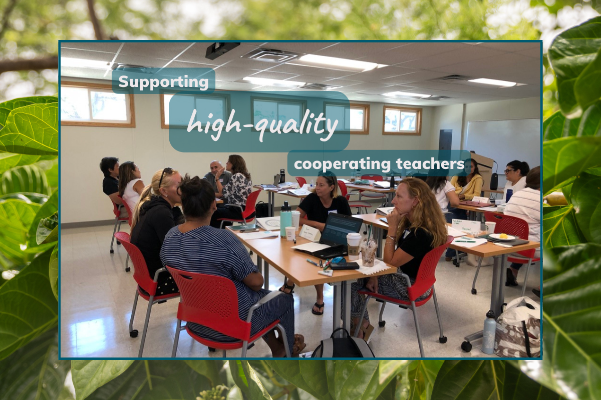 teachers sitting around a table in a small group having a discussion