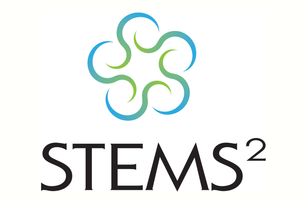 STEMS2 Logo