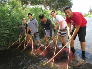 Students holding opae nets in the stream.