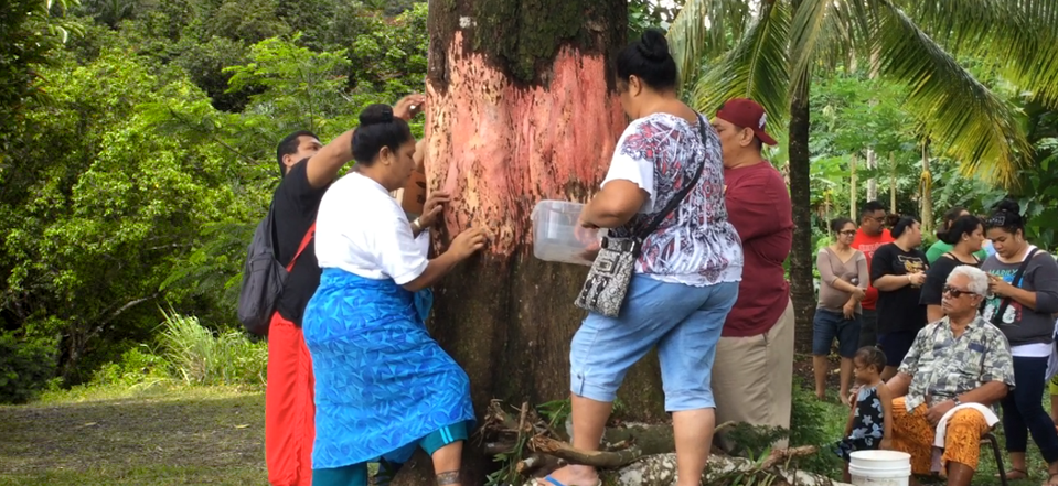 Zuercher.Samoa_