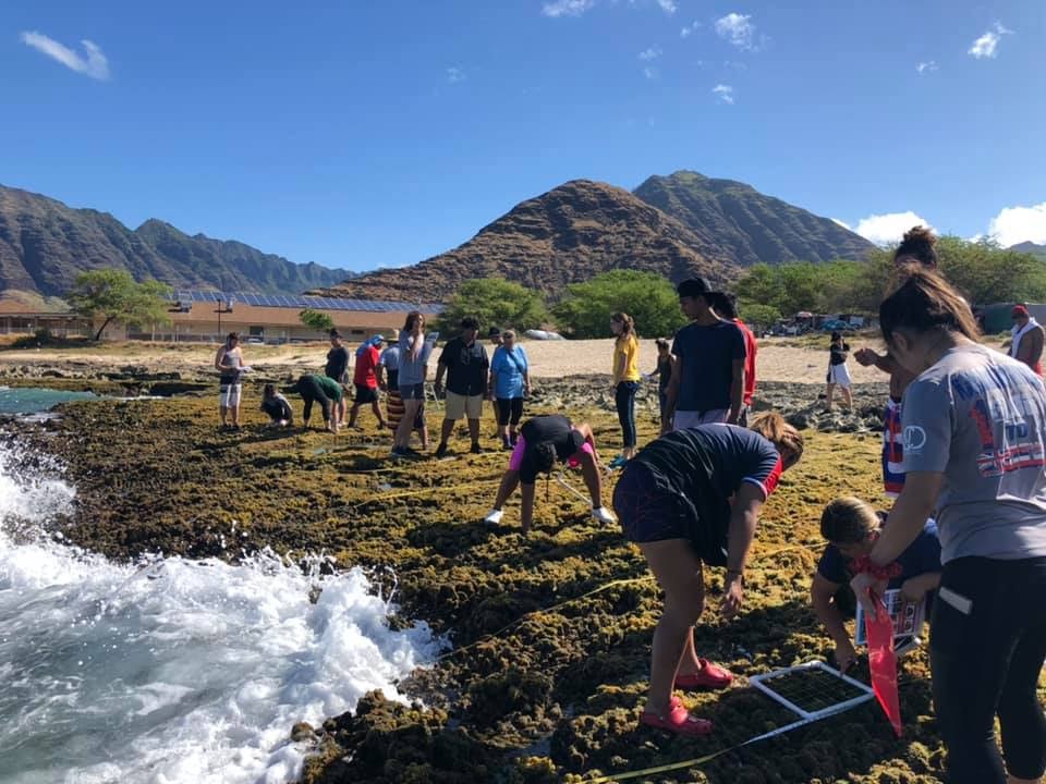 Opihi Intertidal Project