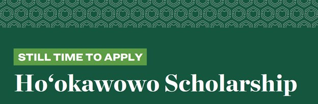 Hookawowo scholarship